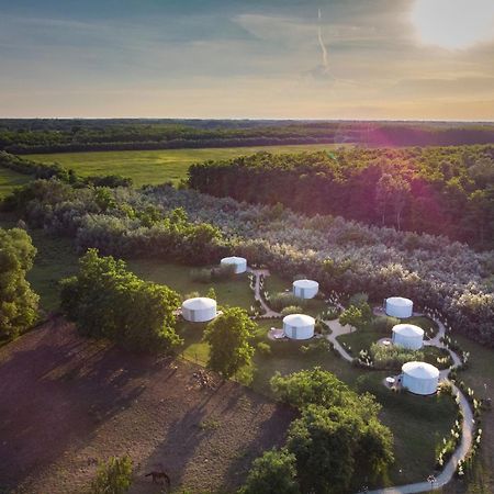 Homoki Lodge Bed & Beyond Glamping (Adults Only) Ruzsa Extérieur photo